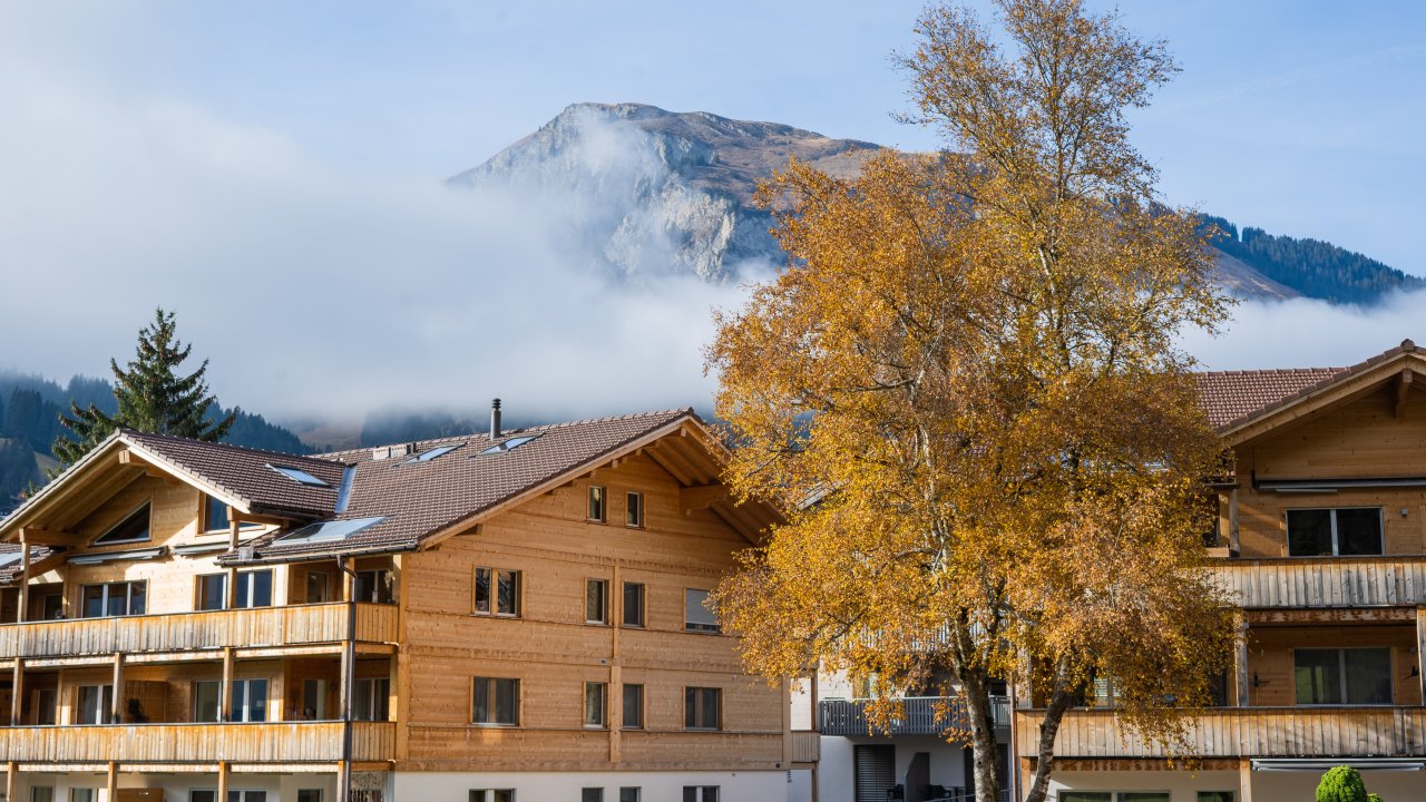 Bild Haus an der Lenk mit Holz100 Technologie
